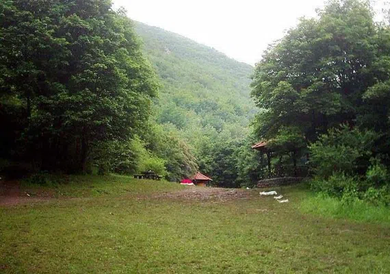 جنگل ارسباران، از زیباترین جنگل های ایران