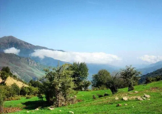 ماسوله