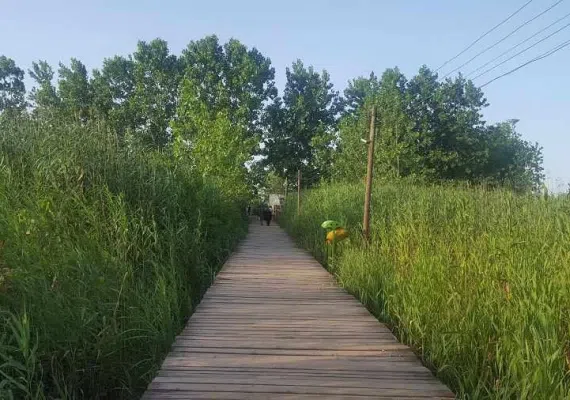 بندر کیاشهر