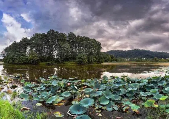 تالاب سوستان لاهیجان