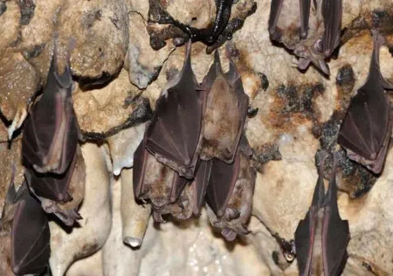 غار رود افشان، غاری شگفت انگیز در اطراف تهران