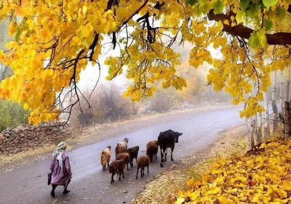 آبشار کالاش، باغ امینی