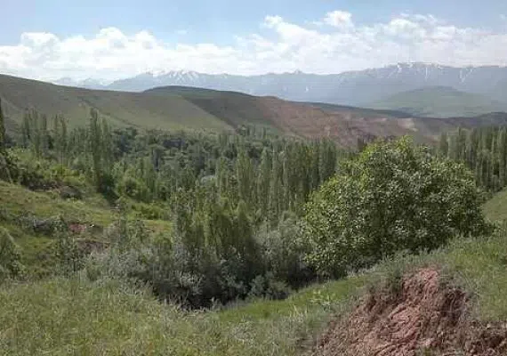 روستای جزینان