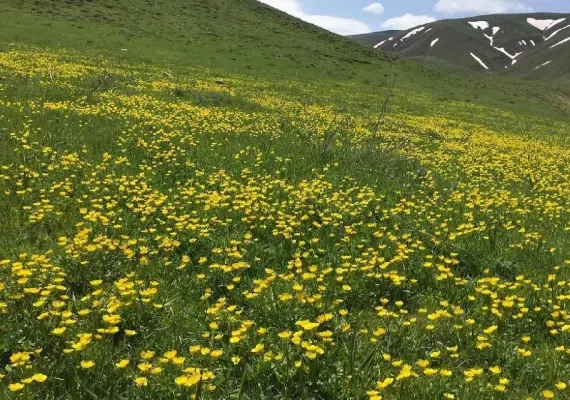 تفرجگاه ماهار زنوز، بهشتی خمارآلود