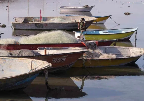 ساحل خلیج فارس