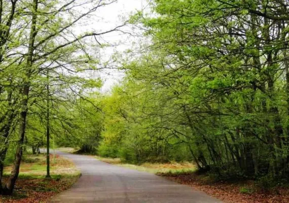 بندر کیاشهر