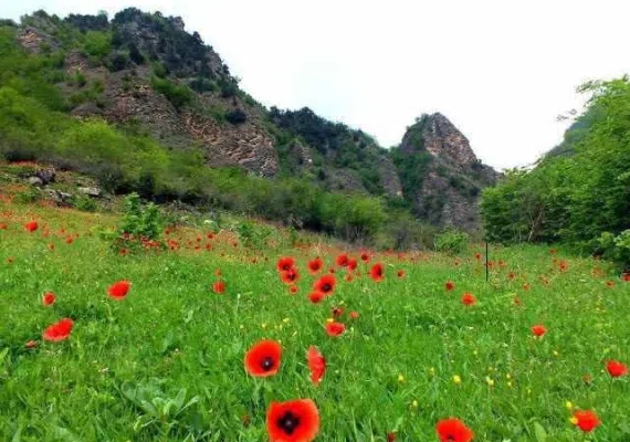 روستای سیاهکشان