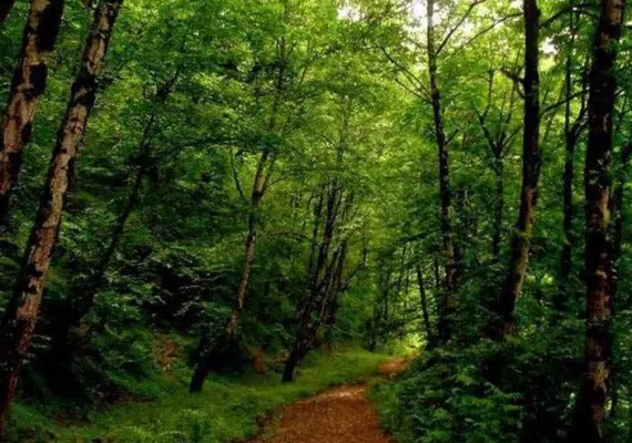 روستای صفرابسته آستانه اشرفیه گیلان