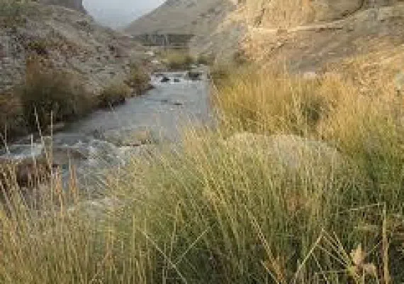 روستای فشند هشتگرد