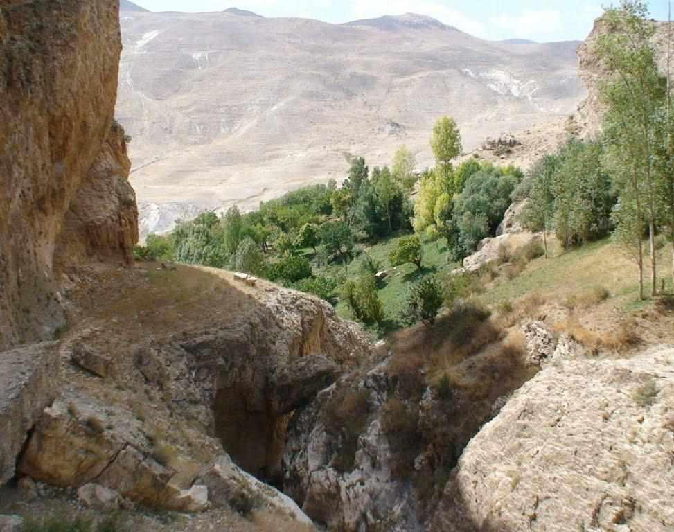 منطقه حفاظت شده انگوران