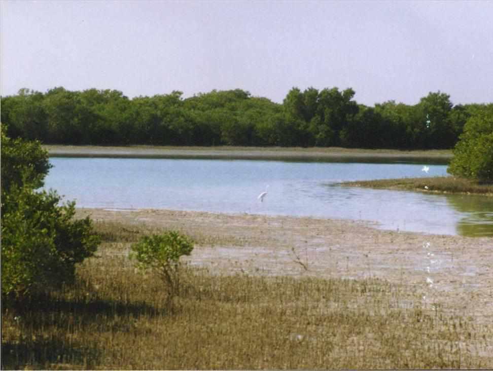 منطقه حفاظت شده مند