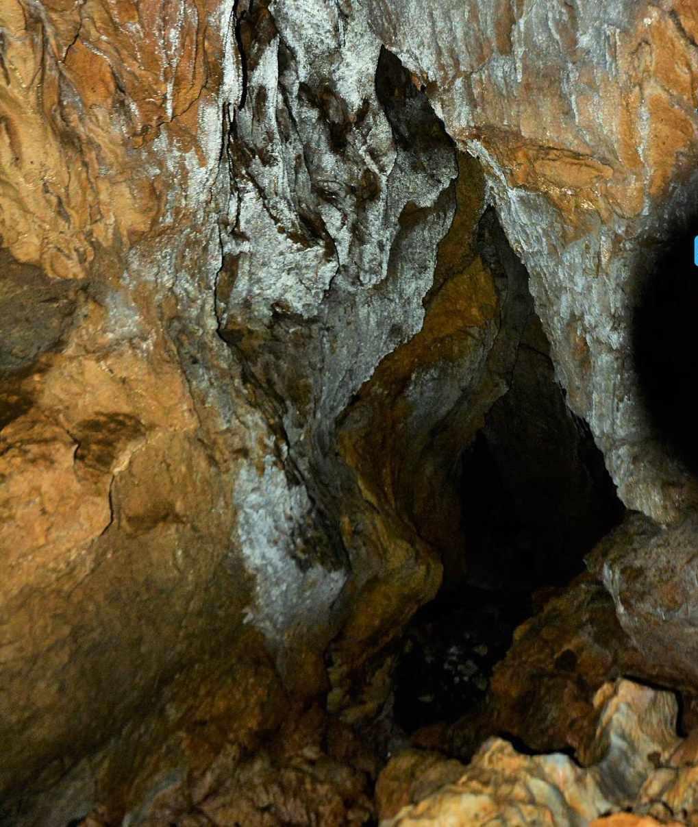 غار آویشوی، غار رودخانه ای