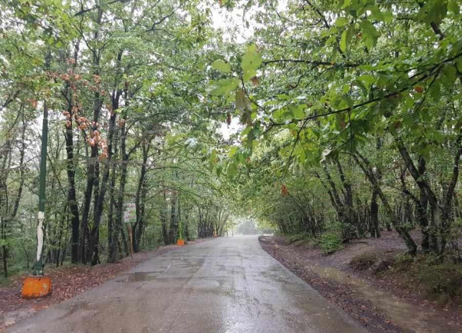 پارک جنگلی سراوان