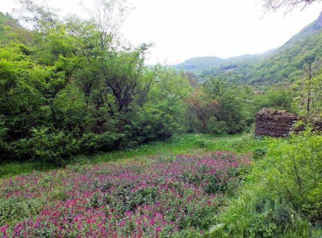 روستای سیاهکشان