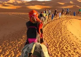 کویر کاراکال، زیستگاه گربه سان زیبای ایرانی
