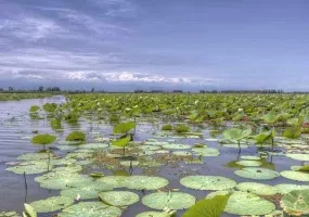 تالاب انزلی کجاست؟