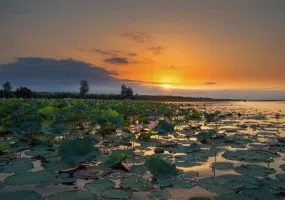 تالاب انزلی کجاست؟