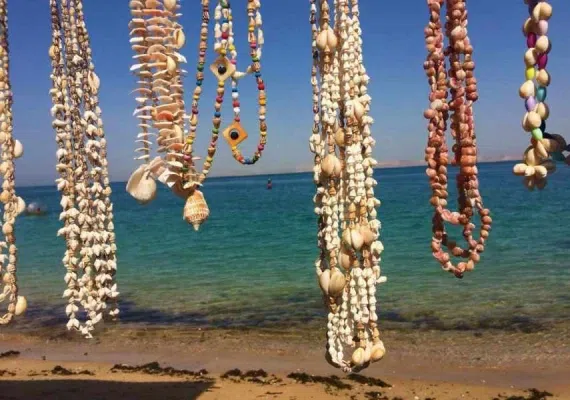 جزیره هنگام، سکونت گاه دلفین ها و ماهی های رنگی آکواریومی