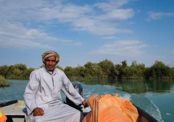 جنگل حرا