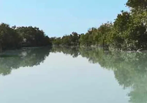 سد پی پشت قشم