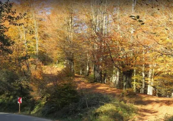 آبشار لونک، آبشاری در ییلاقات زیبای گیلان