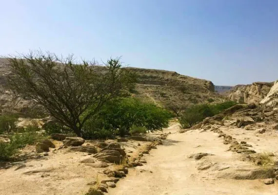تنگه چاهکوه