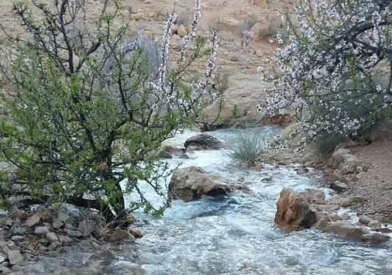 دریاچه بختگان نی ریز کجاست؟