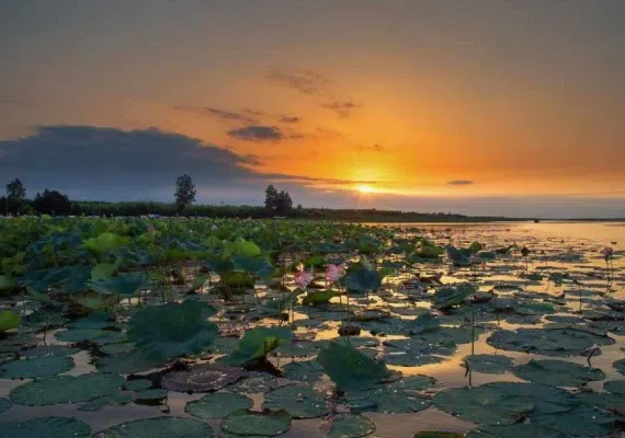 تالاب انزلی کجاست؟
