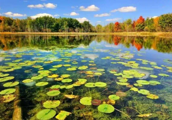 بلوار بندر انزلی