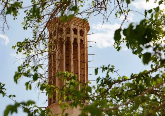 باغ دولت آباد یزد، باغ هزار درخت
