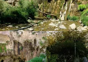 چله گاه