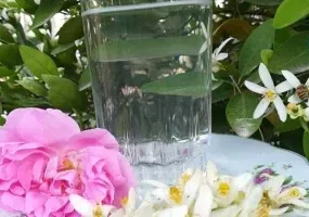 گلستان های محمدی میمند