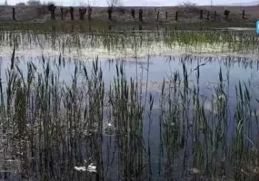 باتلاق گوربهرام اقلید