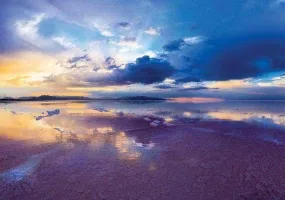 دریاچه کفه خنج، دریاچه ای در همسایگی نخل ها