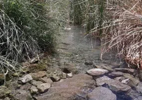 چشمه گلابی