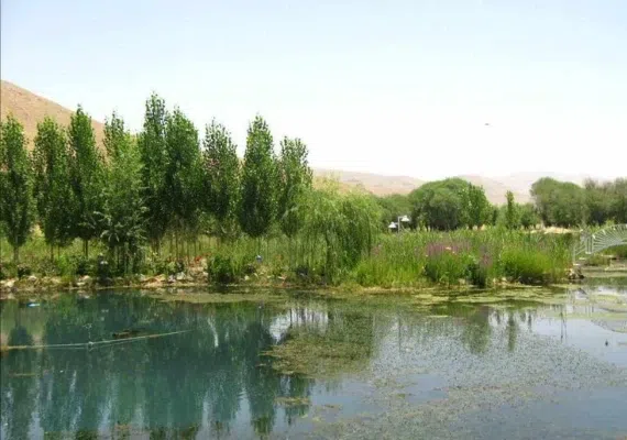 باتلاق گوربهرام اقلید