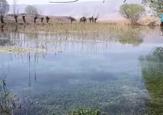 باتلاق گوربهرام اقلید