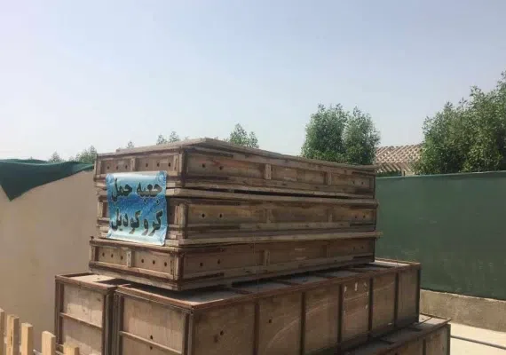 پارک کروکدیل ها