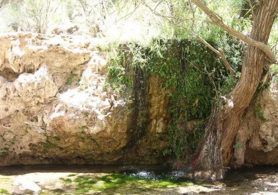 پهنابه نی ریز