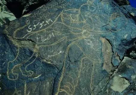 کال جنگال زمان آباد بیرجند