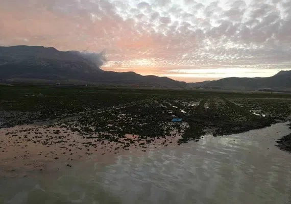 دریاچه ارژن