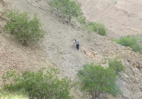 روستای ییلاقی آرک
