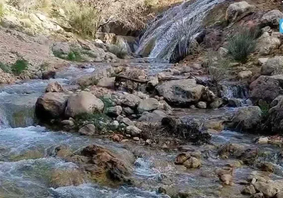 چشمه بشر نی ریز