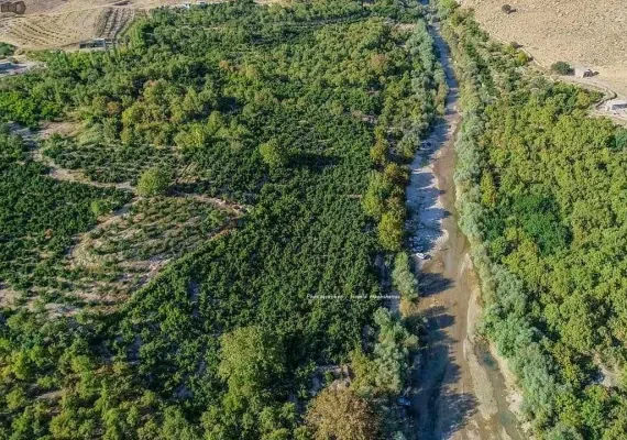 پهنابه نی ریز