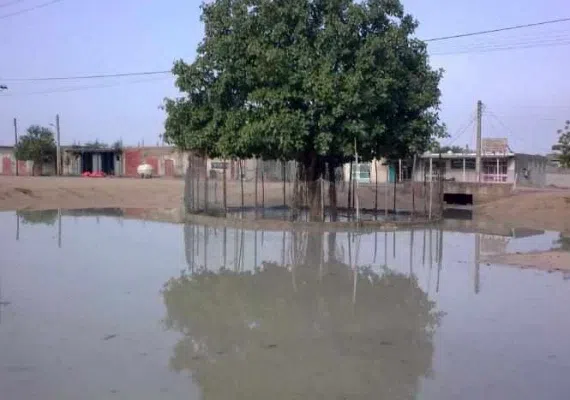 روستای توریان