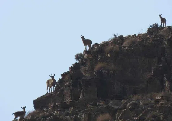 پارک ملی و پناهگاه حیات وحش بختگان