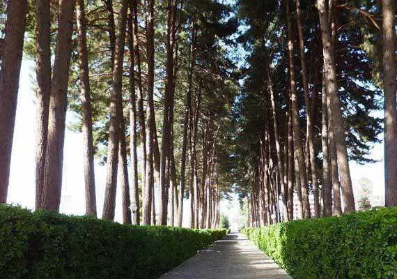 باغ امیرآباد بیرجند