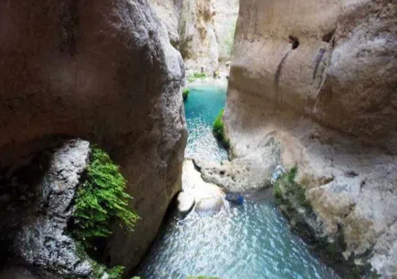 تنگ رغز، عروس تنگ های ایرانی