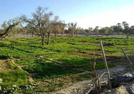 روستای توریان