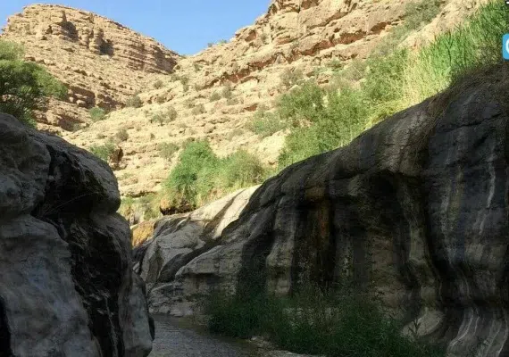 پهنابه نی ریز